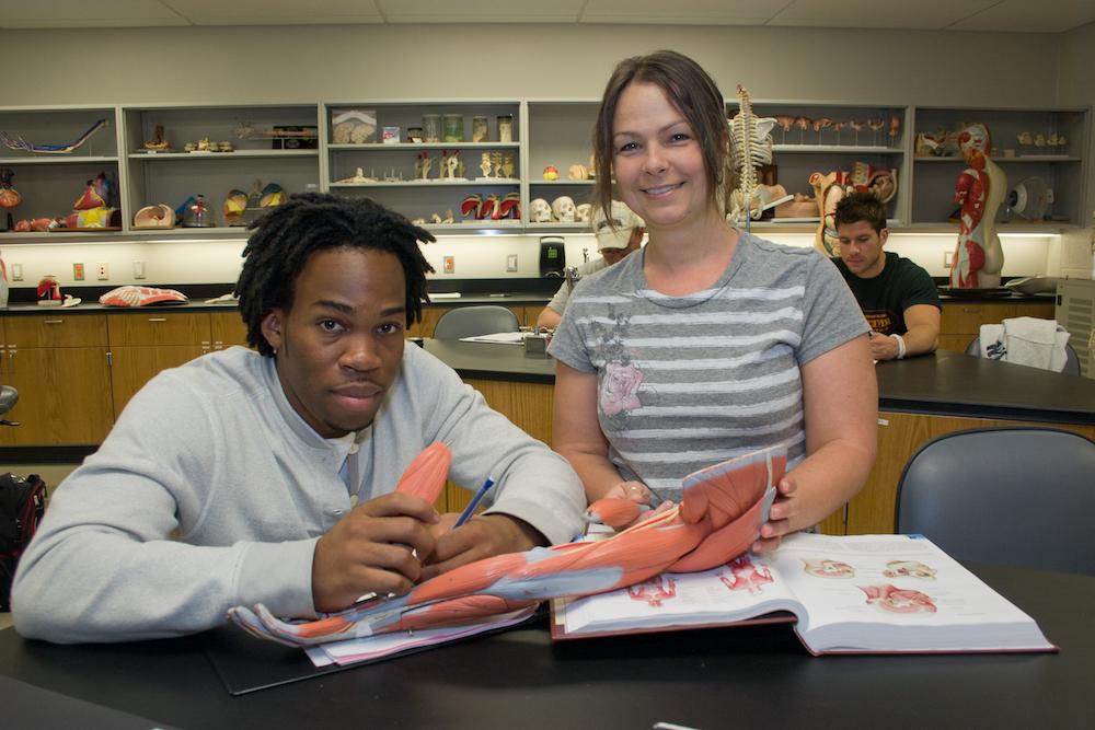 Students studying anatomy